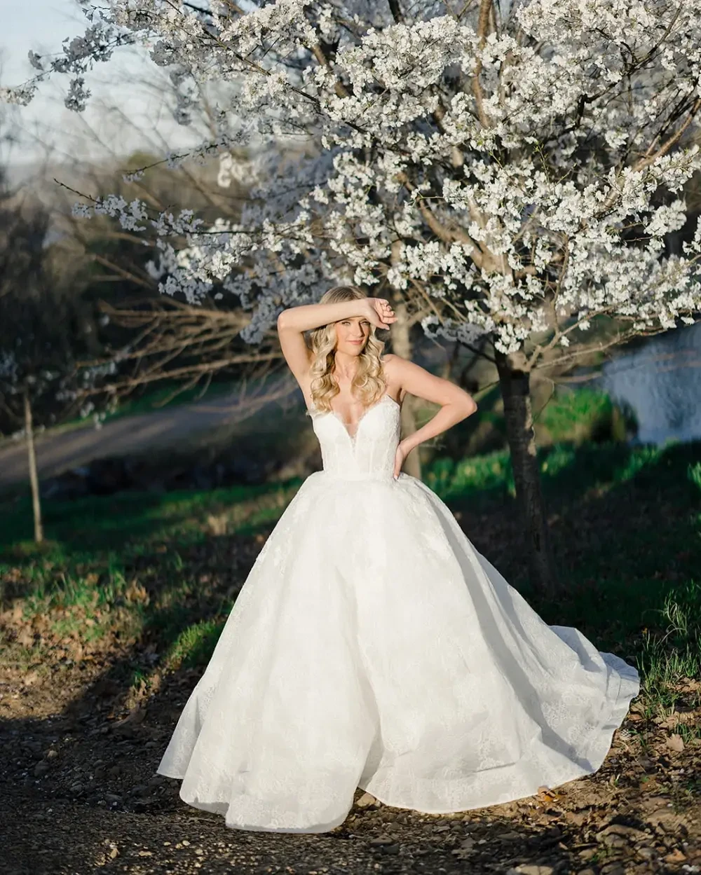 Gallery Image #slidesGrid33