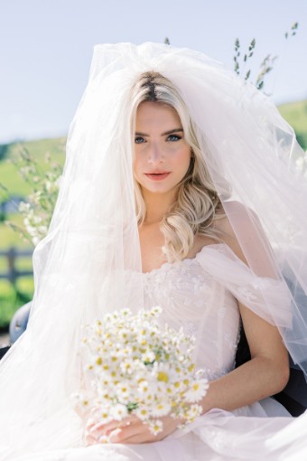 Toni Federici WEDDING CAKE | 60-09 #1 Light Ivory thumbnail